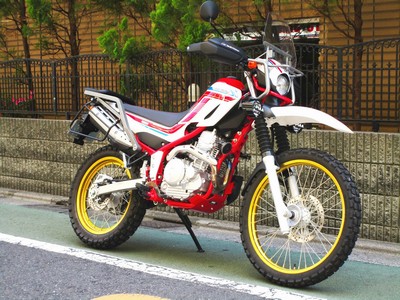 SEROW250】